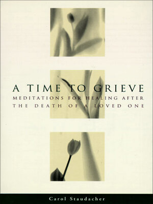 cover image of A Time to Grieve